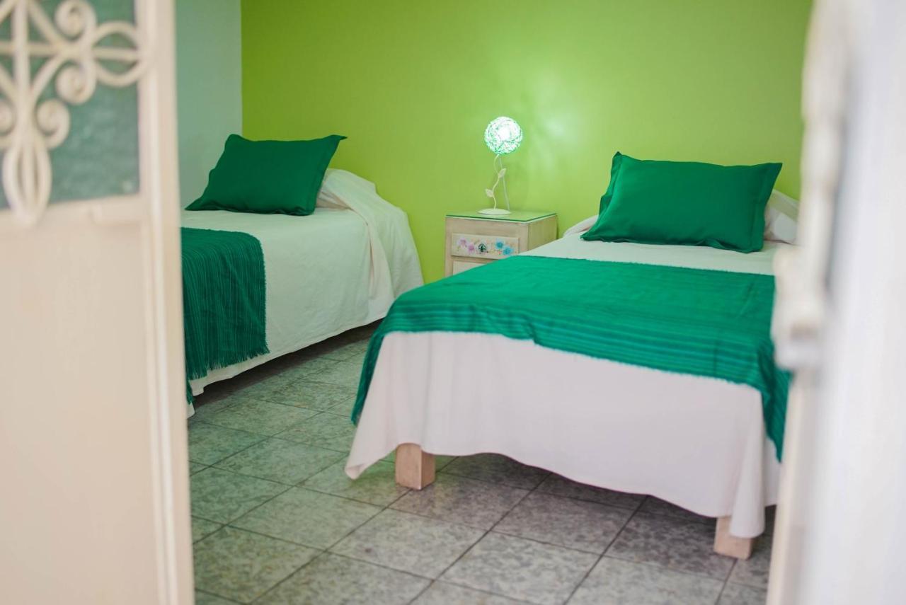Hostal トラケパケ エクステリア 写真